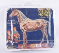 The visible horse assembly kit, an accurate anatomical model.