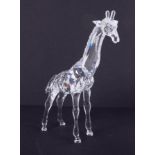 Swarovski Crystal Glass, 'Giraffe', boxed.