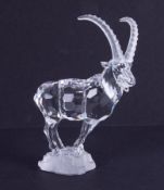 Swarovski Crystal Glass, 'Ibex' (275439), boxed.