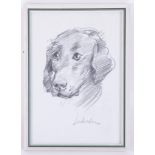 Robert Lenkiewicz (1941-2002) signed original pencil sketch of 'Dog', 37cm x 25cm, framed and