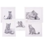 A collection of Animal Limited Edition Prints by David Dance-Wood (6) Bournemouth artist.