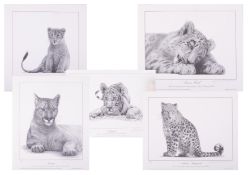A collection of Animal Limited Edition Prints by David Dance-Wood (6) Bournemouth artist.