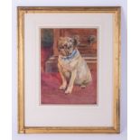 Phil W Smith, a watercolour 'Pug' signed and dated 1901?, 31cm x 23cm, framed and glazed.
