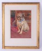 Phil W Smith, a watercolour 'Pug' signed and dated 1901?, 31cm x 23cm, framed and glazed.