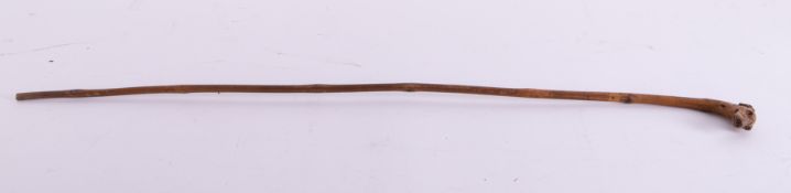 A bamboo style cane with a carved dogs head as handle, length 80cm.