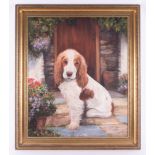 Anne Briggs, English Cocker Spaniel, oil on board with exhibition label on reverse. Anne Briggs is a