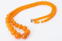 A light amber coloured graduated bead necklace, approx. 54.2g.