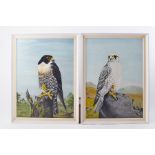 R.W.Twinney, pair of oil on board paintings, Hawks, signed and dated 1970, framed, overall size 67cm