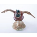 A Beswick pheasant (on base) settling, model no.850, height 15cm.