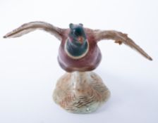 A Beswick pheasant (on base) settling, model no.850, height 15cm.