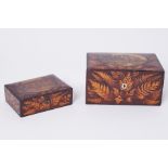 A collection of Fern Ware, two boxes, inc. a lined jewellery box with scene 'The giant rock at