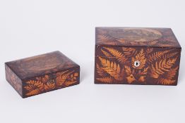 A collection of Fern Ware, two boxes, inc. a lined jewellery box with scene 'The giant rock at