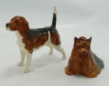 Beswick Yorkshire Terrier 1824 & Beagle 1993a(2):