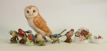 A collection of Beswick Birds to include: Gold Crest, Kingfisher, Grey Wagtail, Chaffinch, Robin,