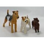 Beswick Airedale Terrier: 962 together with a terrier walking 1062 ( tail restuck) and a chocolate