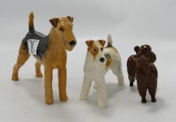 Beswick Airedale Terrier: 962 together with a terrier walking 1062 ( tail restuck) and a chocolate