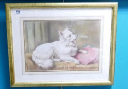 Franco Matiana pastel of dog: Measures 30cm x 44cm excluding mount and frame.