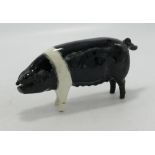 Beswick Wessex Saddleback Sow "Merrywood Silver Wings 56th" (repair to leg)