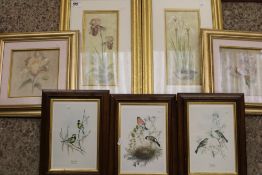 A collection of framed prints: with still life and bird themes (7).