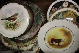 A collection of wall and cabinet plates: mixed themes, Royal Albert, Royal Doulton etc (1 tray).