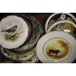 A collection of wall and cabinet plates: mixed themes, Royal Albert, Royal Doulton etc (1 tray).