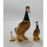 Beswick mallard ducks 756/1 and 756/2A together with a gosling 821 ( neck restuck)