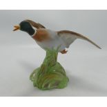 Spode Matt Mallard Rising Figure: height 15.cm