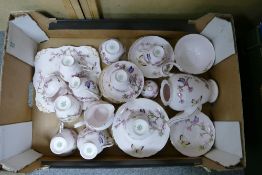 Tuscan China Floral & Buttlerfly Decorated Tea ware: 36 (2 cups damaged)