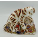 Royal Crown Derby Boxed Paperweight Bengal Tiger cub: