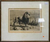 Herbert Dicksee etching THE CHALLENGE: Overall size 33cm x 40cm including frame.