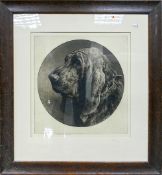 Herbert Dicksee etching BLOODHOUND: Signed artist proof with stamps, measuring 45cm x 43cm excluding