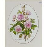 Reginald Johnson oval watercolour still life of roses signed: Of the finest quality, measuring