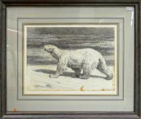 Herbert Dicksee etching BEAR OF THE NORTH: Frost & Reed 1927, measures 27cm x 36cm excluding