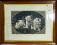 Herbert Dicksee etching: Three kittens signed in pencil. Frost and Reed 1903. Overall size 46cm x