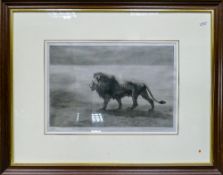 Herbert Dicksee etching LION: C E Clifford 1890. Signed in margin, also signed 'with the
