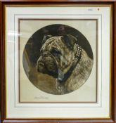 Herbert Dicksee etching A BRITISH BULLDOG: Frost & Reed 1913, measures 42cm x 39cm excluding any