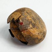Chinese fossilised egg: Approx. diameter 4.5cm.