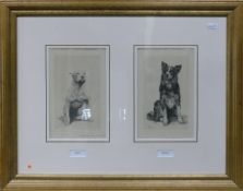 Herbert Dicksee etching Bull Terrier & Collie Beauty and THE BEAST: Printed on one plate, often