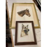 Two Micheal McNicholas Framed Studies: of a horse and an Alsatian largest cm x 45cm(2)