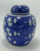 19th Century Chinese Prunus Patterned Double Ring Ginger Jar & Lid: height 16cm