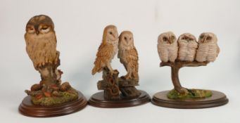 Three Country Artist figures of Owls: tallest 24cm
