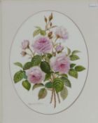 Reginald Johnson oval watercolour still life of roses signed: Of the finest quality, measuring