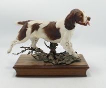 Albany Fine China Limited Edition Springer Spaniel Figure: