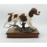 Albany Fine China Limited Edition Springer Spaniel Figure: