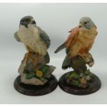 Large Country Artists Figures Peregrine Falcon & Kestrel, tallest 24cm(2)