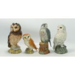 A collection of Royal Doulton Seconds Bird Theme Whisky Decanters to include: Short Eared Owl,