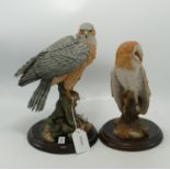 Large Country Artists Figures Barn Owl Ca431 & Sparrow Hawk, tallest 24cm(2)