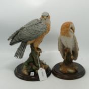 Large Country Artists Figures Barn Owl Ca431 & Sparrow Hawk, tallest 24cm(2)