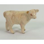 Beswick Charolais Calf 1827c: