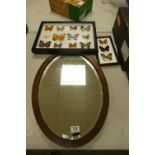 Wooden framed Oval Wall Mirror & Two Framed Sets of Mounted Butterflies(3)